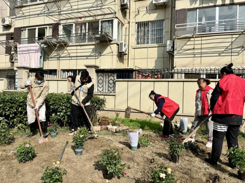 虹桥街道虹南社区：以民生为“笔” 绘就幸福生活“新画卷”