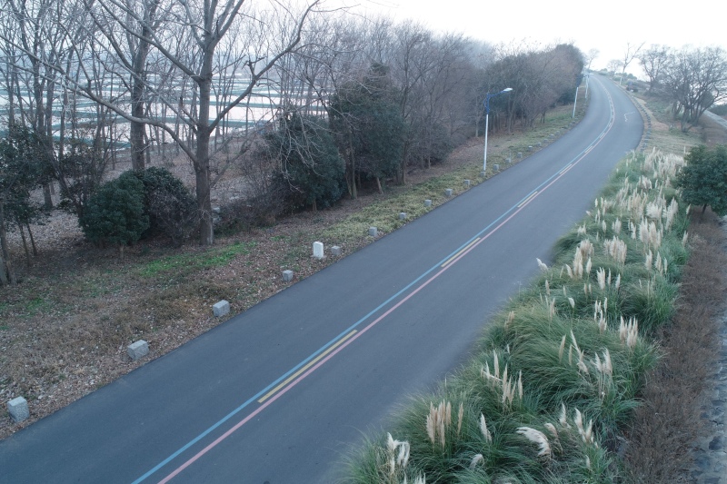  洪泽区四级人大代表为农村道路建设把脉